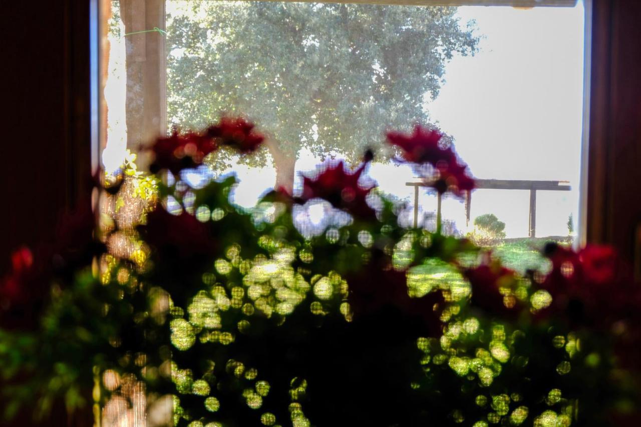 Agriturismo Poggio Monte Saturnia Bagian luar foto